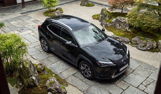 Lexus UX 300E charging cable